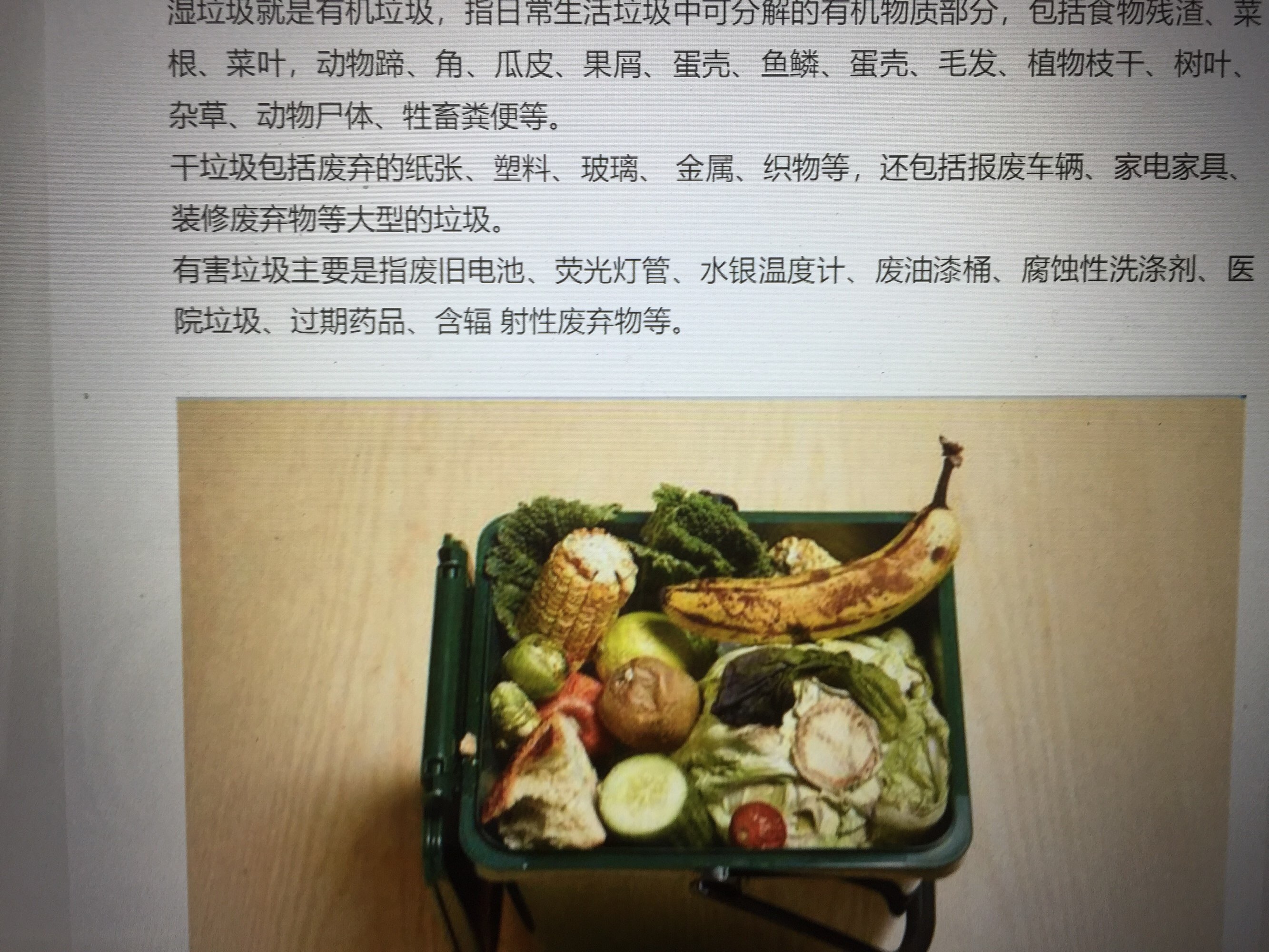 环保垃圾分类资料_垃圾分类的环保宣传画_垃圾分类环保手工作品