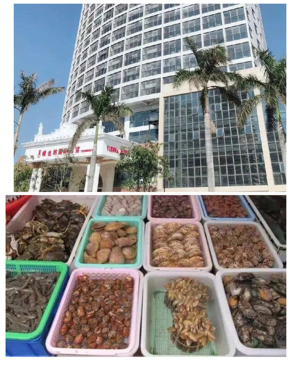 天津东疆湾黄金海岸怎么样_东疆湾黄金海岸团购门票_东疆湾黄金海岸官网