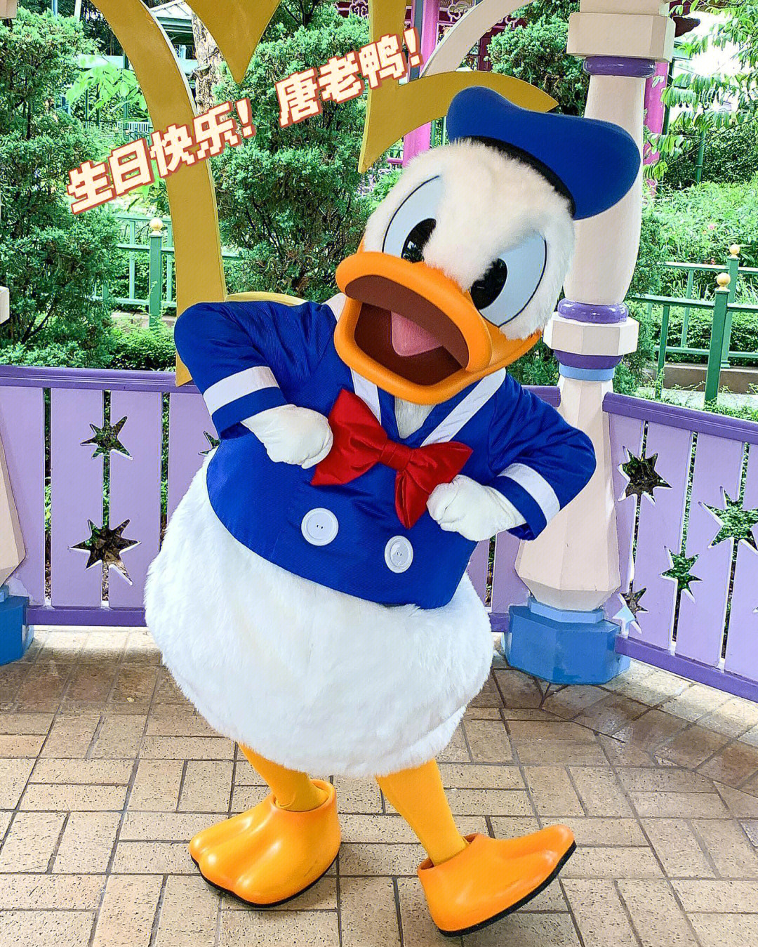 唐老鸭庆生记_唐老鸭庆生记动漫_唐老鸭庆生记国语