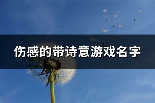 悲伤的游戏名字大全,唤起内心深处的共鸣