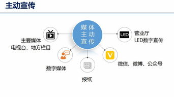 怎么过电网游戏,惊险刺激的生存游戏攻略揭秘