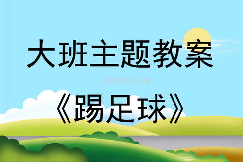 踢球游戏教案,趣味踢球游戏教案实践与探索