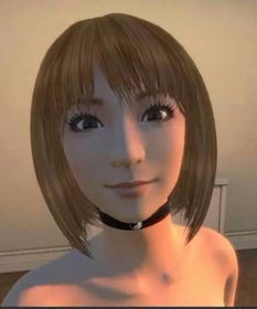 3d成人游戏,3D成人游戏概览