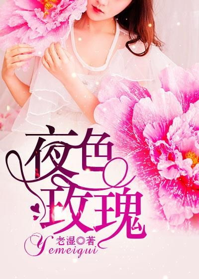 玫瑰小说 