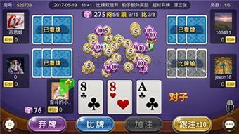 牌类游戏,丰富多样的娱乐世界