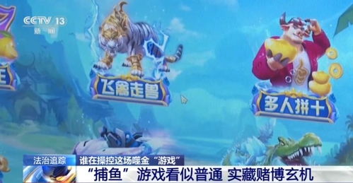 棋牌游戏推荐,体验智慧竞技的魅力之旅