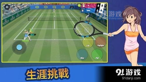 网球游戏安卓版,挥拍畅游