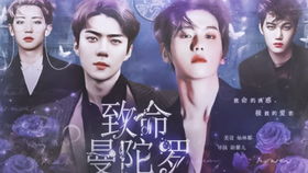 exo边伯贤橙光游戏