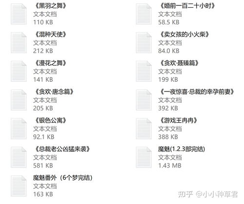 游戏王冉冉,冉冉崛起的传奇之战