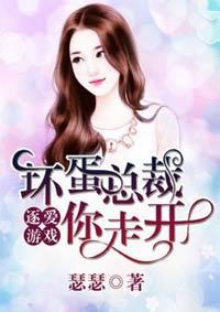 逐爱游戏,一场跨越时空的浪漫冒险之旅