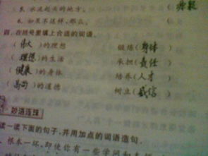 什么的游戏填合适词语,探索未知世界的奇幻之旅
