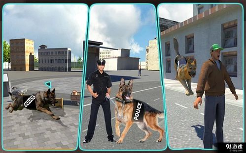 警犬游戏,忠诚与智慧的双重考验