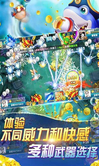海洋之星游戏,探索无尽海域的奇幻冒险之旅