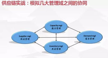 供应链游戏,揭秘现代物流与供应链管理的实战演练