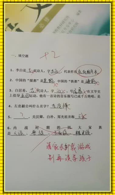 游戏迷作文,探索虚拟与现实交织的青春记忆