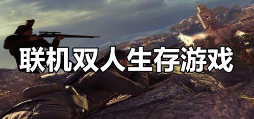 双人联机游戏大全,双人联机游戏大全深度解析