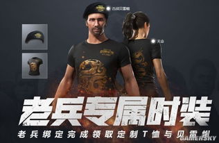 steam 游戏id,一场虚拟世界的寻宝之旅