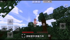 双人开车游戏,双人开车游戏激情体验