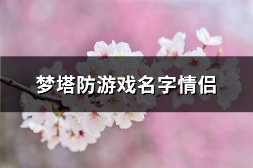 两个字情侣游戏名,探寻“XX情侣游戏”的浪漫奥秘