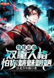 双重人格游戏,一场心理与身份的终极游戏