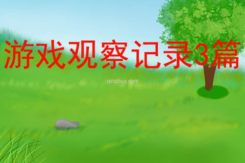角色游戏观察记录,幼儿社会互动与认知发展实证分析