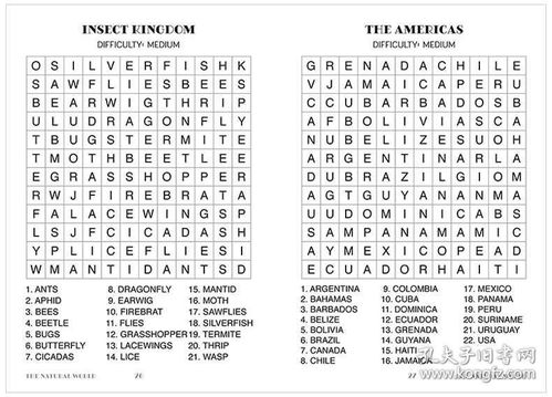 英语填字游戏,Unlocking the English Vocabulary: A Word Search Adventure Guide