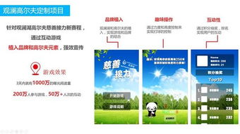 游戏营销案例,策略与效果的完美融合