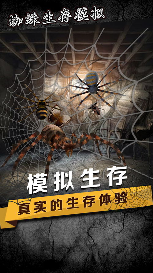 关于蜘蛛的游戏,探索蜘蛛世界的奇幻冒险之旅