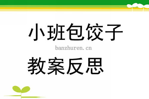 包饺子游戏教案,寓教于乐的传统文化体验活动
