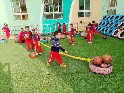 户外游戏的目标,培养孩子全面发展与社交技能的乐园之旅