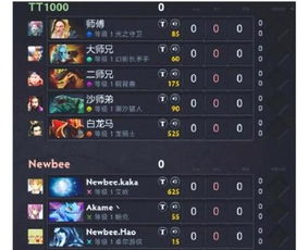 游戏id是啥,揭秘游戏世界中的神秘英雄