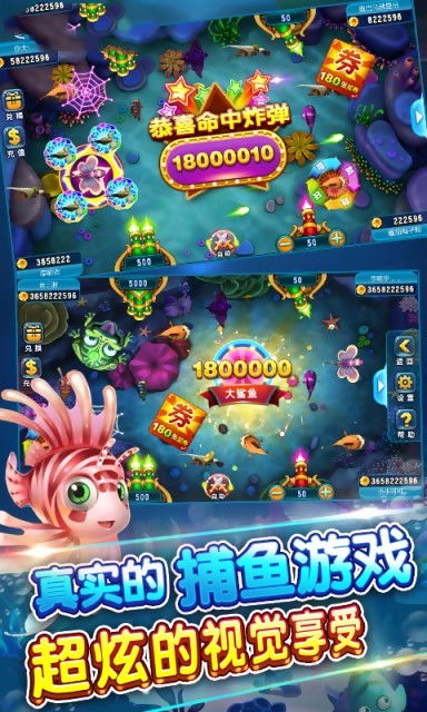 打鱼赚钱游戏,一网打尽