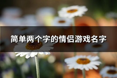 两个字的游戏名字情侣,情侣共度文字之旅