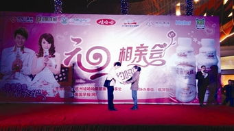 相亲会游戏,邂逅美好姻缘