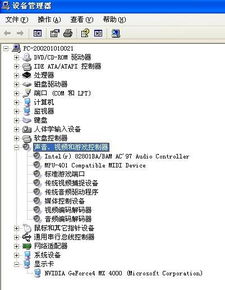电脑游戏没声音,探寻电脑游戏静默之谜