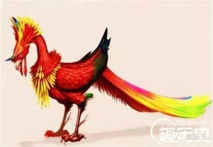 重明鸟