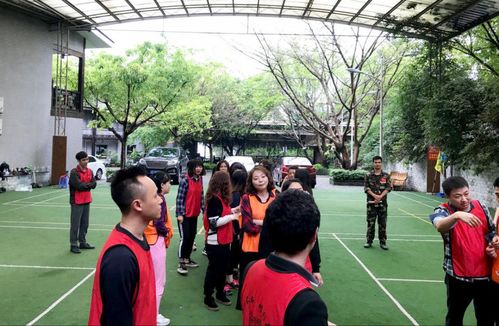 团队拓展活动游戏,拓展游戏中的默契与成长